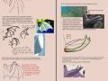 Dragon_wing_tutorial_by_meradragon.jpg